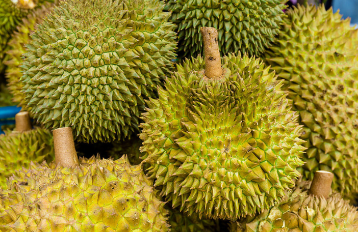 榴蓮沒(méi)開(kāi)口是不是沒(méi)熟 榴蓮沒(méi)開(kāi)口放幾天會(huì)自動(dòng)開(kāi)口嗎