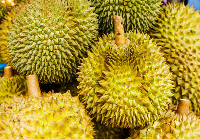 榴蓮沒(méi)開(kāi)口是不是沒(méi)熟 榴蓮沒(méi)開(kāi)口放幾天會(huì)自動(dòng)開(kāi)口嗎