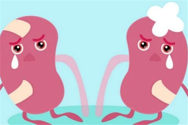 腎炎嚴重嗎 腎炎會導(dǎo)致什么后果