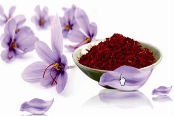 藏紅花有避孕的功效嗎 藏紅花有減肥的功效嗎 藏紅花有避孕的功效嗎 藏紅花有減肥的功效嗎