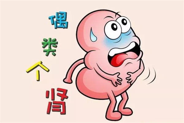 腎炎是不是憋尿造成的 腎炎會導(dǎo)致尿少嗎