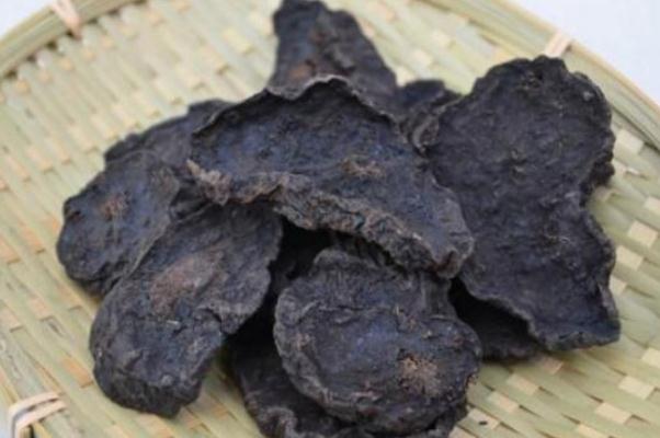 何首烏的藥用價值 何首烏的副作用哪些 何首烏的藥用價值 何首烏的副作用哪些