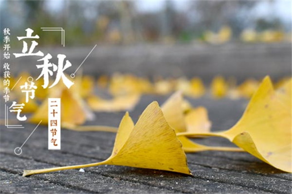 立秋下雨有什么說法嗎 立秋下雨好還是晴天好 立秋下雨有什么說法嗎 立秋下雨好還是晴天好