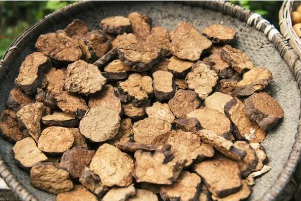 何首烏會過敏嗎 何首烏過敏什么癥狀 何首烏會過敏嗎 何首烏過敏什么癥狀