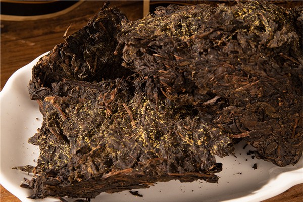 黑茶可以解藥嗎 黑茶有什么禁忌 黑茶可以解藥嗎 黑茶有什么禁忌