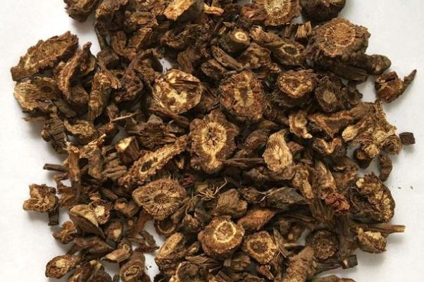 羌活有補腎的功效嗎 羌活有幾個品種 羌活有補腎的功效嗎 羌活有幾個品種