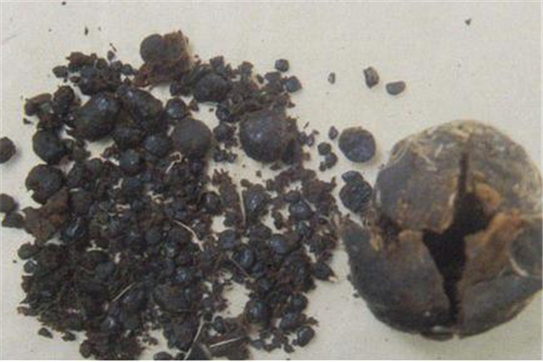 麝香會導致月經(jīng)不正常嗎 麝香會影響月經(jīng)嗎