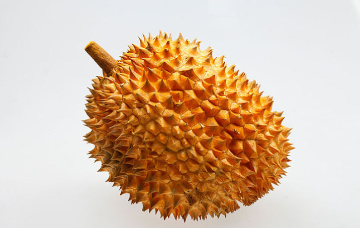 榴蓮一直不開(kāi)口會(huì)壞嗎 榴蓮肉放常溫下一晚上可以嗎