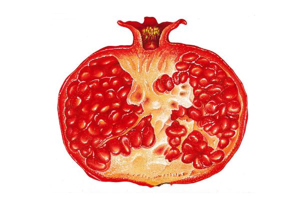 石榴對人的身體有什么好處 石榴對女人的功效與作用 石榴對人的身體有什么好處 石榴對女人的功效與作用