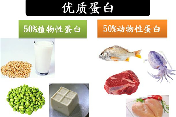 蛋白質(zhì)減肥法會(huì)反彈嗎 蛋白質(zhì)減肥法怎么吃 蛋白質(zhì)減肥法會(huì)反彈嗎 蛋白質(zhì)減肥法怎么吃