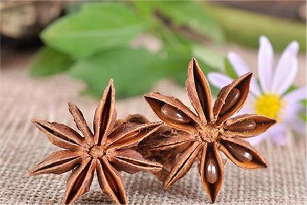 八角正常的應(yīng)該有幾個(gè)角 八角有九個(gè)十個(gè)角的嗎