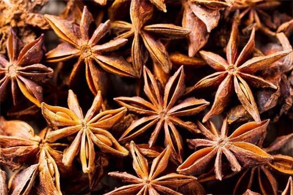 八角一次放多少 八角放多了怎么補(bǔ)救 八角一次放多少 八角放多了怎么補(bǔ)救