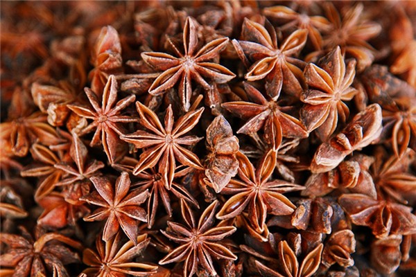 八角會生蟲子嗎 八角生蟲還能吃嗎 八角會生蟲子嗎 八角生蟲還能吃嗎