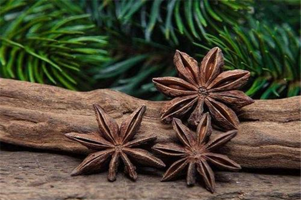 八角正常的應(yīng)該有幾個(gè)角 八角有九個(gè)十個(gè)角的嗎