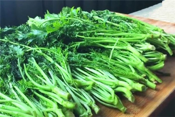 雪里紅可以不腌制吃嗎 雪里紅和梅干菜有什么區(qū)別 雪里紅可以不腌制吃嗎 雪里紅和梅干菜有什么區(qū)別