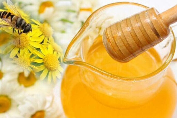 蜂蜜水會(huì)長胖嗎 喝蜂蜜水會(huì)長脂肪嗎