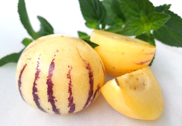 人參果大的好還是小的 人參果什么時(shí)候成熟 人參果大的好還是小的 人參果什么時(shí)候成熟