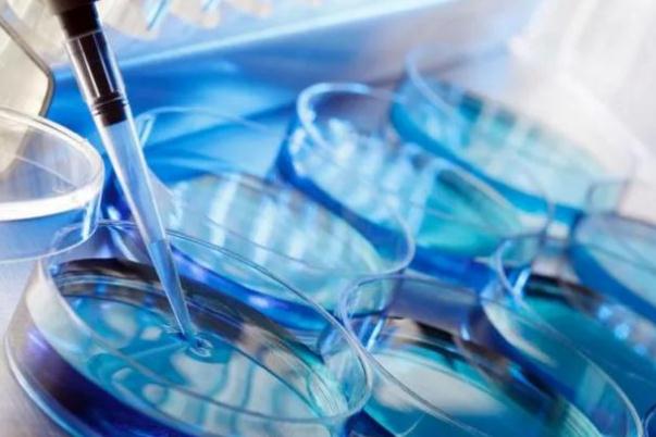 試管嬰兒會宮外孕嗎 試管嬰兒會胎停嗎