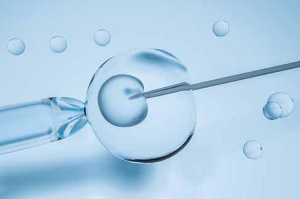 試管嬰兒有畸形的風險嗎 試管嬰兒有唐氏兒嗎 試管嬰兒有畸形的風險嗎 試管嬰兒有唐氏兒嗎