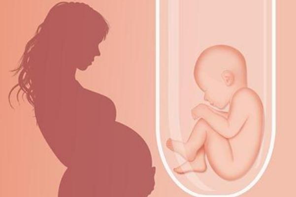 試管嬰兒需要什么條件才可以做 試管嬰兒可以選擇雙胞胎嗎 試管嬰兒需要什么條件才可以做 試管嬰兒可以選擇雙胞胎嗎