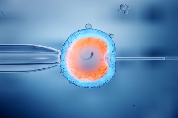 試管嬰兒有畸形的風險嗎 試管嬰兒有唐氏兒嗎 試管嬰兒有畸形的風險嗎 試管嬰兒有唐氏兒嗎