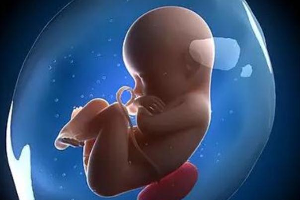 試管嬰兒的流程是什么樣的 試管嬰兒的利弊有哪些 試管嬰兒的流程是什么樣的 試管嬰兒的利弊有哪些