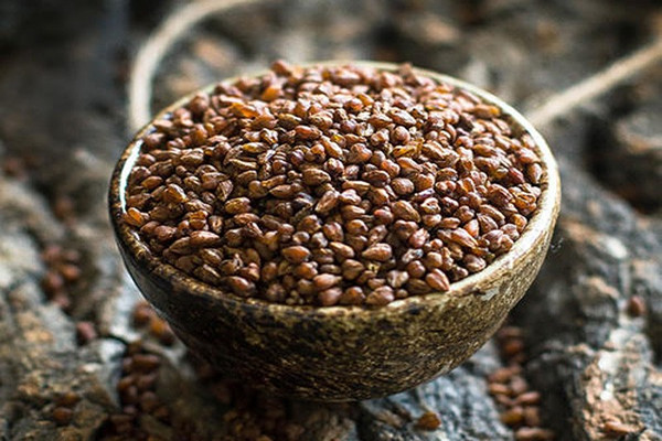 苦蕎茶會失眠嗎 苦蕎茶會不會上火 苦蕎茶會失眠嗎 苦蕎茶會不會上火