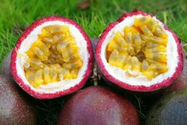 百香果有去火的功效嗎 百香果有美白的功效嗎 百香果有去火的功效嗎 百香果有美白的功效嗎