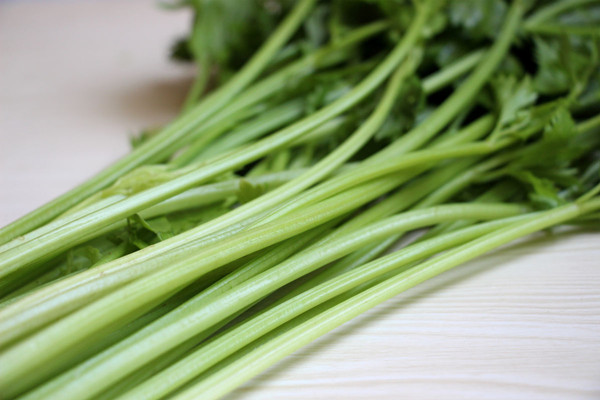 芹菜會脹氣嗎 芹菜會酸胃嗎 芹菜會脹氣嗎 芹菜會酸胃嗎