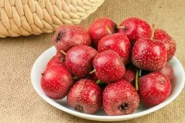 山楂可以降血壓嗎 山楂對(duì)膽結(jié)石有好處嗎