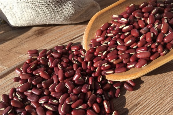 赤小豆可以祛濕嗎 赤小豆怎么做祛濕效果好 赤小豆可以祛濕嗎 赤小豆怎么做祛濕效果好