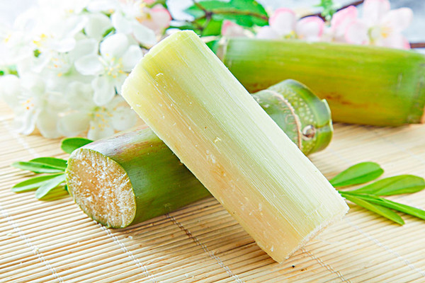 甘蔗會(huì)不會(huì)胖 甘蔗會(huì)不會(huì)回奶 甘蔗會(huì)不會(huì)胖 甘蔗會(huì)不會(huì)回奶