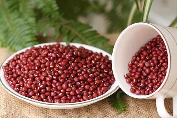 紅豆可以天天吃嗎 貧血吃紅豆可以補血嗎 紅豆可以天天吃嗎 貧血吃紅豆可以補血嗎