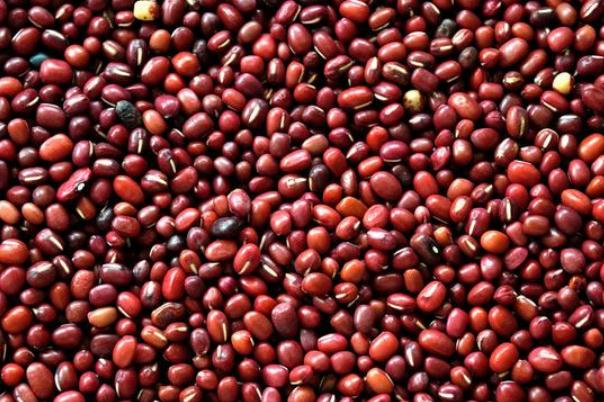 紅豆的功效與作用禁忌 紅豆的熱量 紅豆的功效與作用禁忌 紅豆的熱量