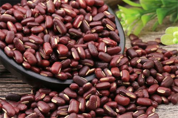 赤小豆吃完會(huì)拉肚子嗎 赤小豆拉肚子怎么回事 赤小豆吃完會(huì)拉肚子嗎 赤小豆拉肚子怎么回事