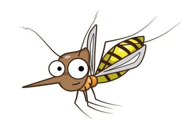 邊境民警一巴掌拍死100多只蚊子 蚊子會(huì)傳播新冠病毒嗎