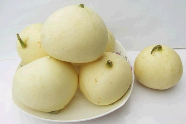 香瓜怎么看熟不熟 香瓜沒(méi)熟能吃嗎 香瓜怎么看熟不熟 香瓜沒(méi)熟能吃嗎