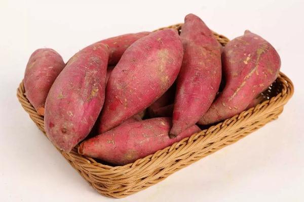 紅薯的營(yíng)養(yǎng)價(jià)值及功效與作用 紅薯直接放水里煮嗎 紅薯的營(yíng)養(yǎng)價(jià)值及功效與作用 紅薯直接放水里煮嗎