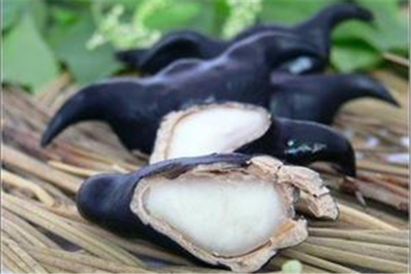 菱角和螃蟹能不能一起吃 菱角和什么相克 菱角和螃蟹能不能一起吃 菱角和什么相克