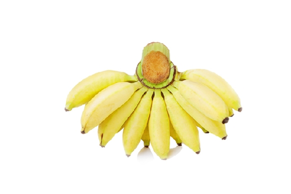 芭蕉的熱量高嗎 芭蕉會(huì)胖嗎 芭蕉的熱量高嗎 芭蕉會(huì)胖嗎