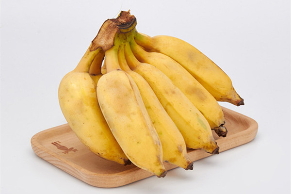 芭蕉的營(yíng)養(yǎng)價(jià)值 芭蕉的好處是什么 芭蕉的營(yíng)養(yǎng)價(jià)值 芭蕉的好處是什么