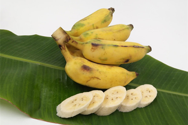 芭蕉的營(yíng)養(yǎng)價(jià)值 芭蕉的好處是什么 芭蕉的營(yíng)養(yǎng)價(jià)值 芭蕉的好處是什么