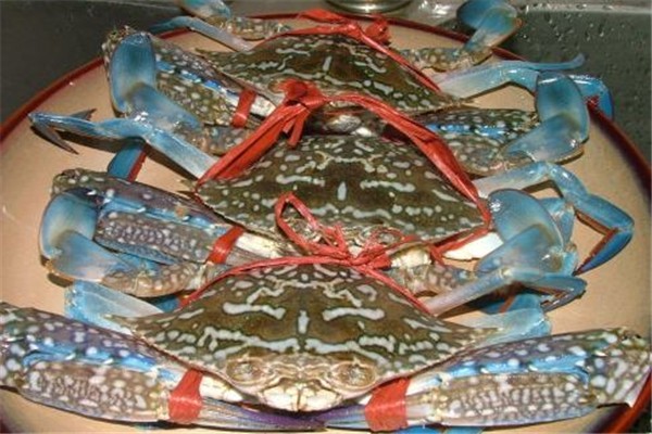 花蟹會有寄生蟲嗎 花蟹要買公的好還是買母的好 花蟹會有寄生蟲嗎 花蟹要買公的好還是買母的好