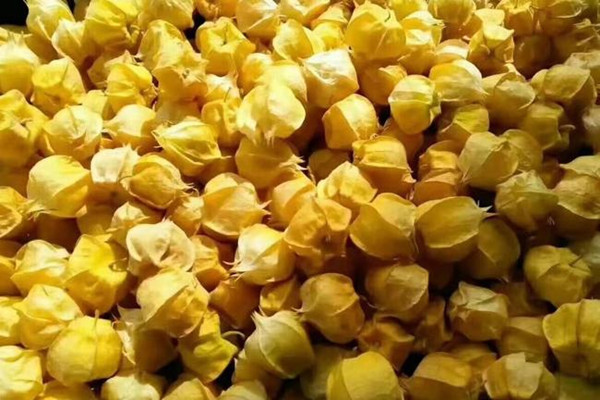 姑娘果能放多久 姑娘果能放冰箱里嗎 姑娘果能放多久 姑娘果能放冰箱里嗎