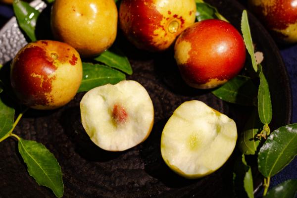 冬棗的含糖量高嗎 冬棗的維生素c含量是多少 冬棗的含糖量高嗎 冬棗的維生素c含量是多少