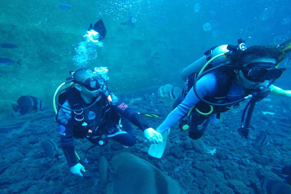 潛水有年齡限制嗎 潛水會導(dǎo)致中耳炎嗎 潛水有年齡限制嗎 潛水會導(dǎo)致中耳炎嗎