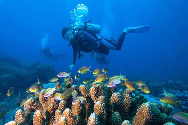潛水有年齡限制嗎 潛水會導(dǎo)致中耳炎嗎 潛水有年齡限制嗎 潛水會導(dǎo)致中耳炎嗎