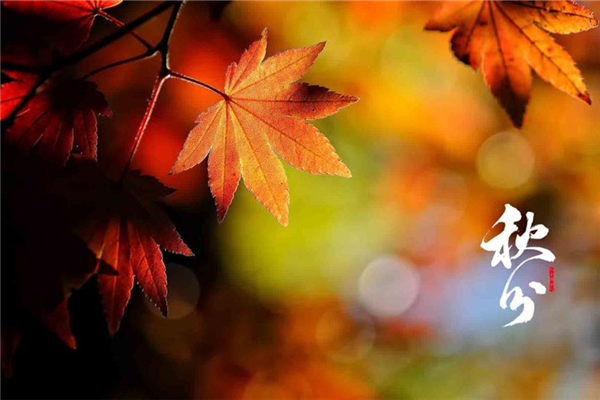 秋分還熱不熱 秋分會涼快嗎 秋分還熱不熱 秋分會涼快嗎