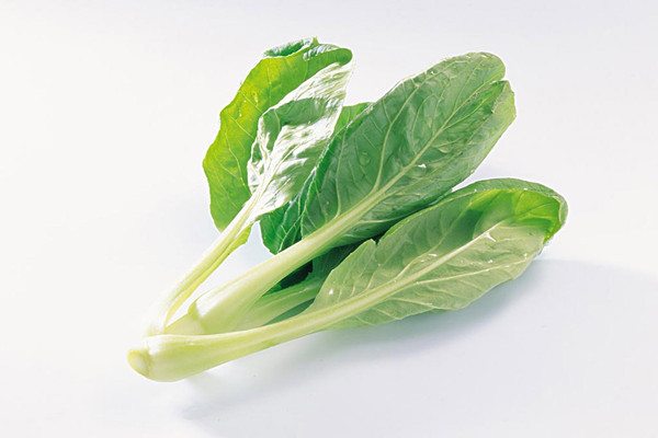 小白菜能否生吃 吃小白菜對身體有什么好處 小白菜能否生吃 吃小白菜對身體有什么好處
