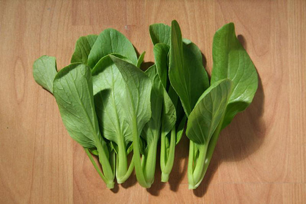 小白菜怎么挑選 小白菜的保存方法 小白菜怎么挑選 小白菜的保存方法